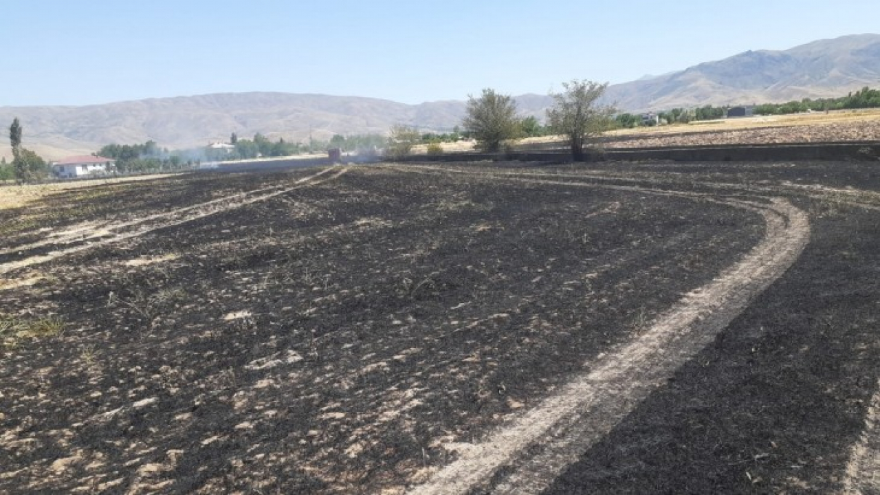 Elazığ'da arpa ekili arazi kül oldu